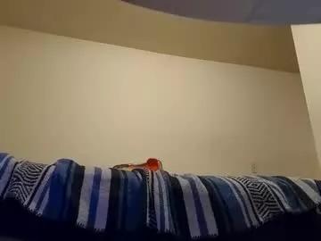 cdlover148558181 from Chaturbate is Freechat